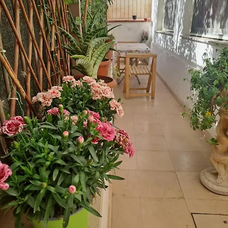 Bed and breakfast Esplora Sassi 3*
